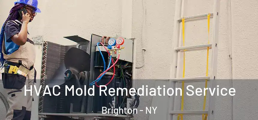  HVAC Mold Remediation Service Brighton - NY