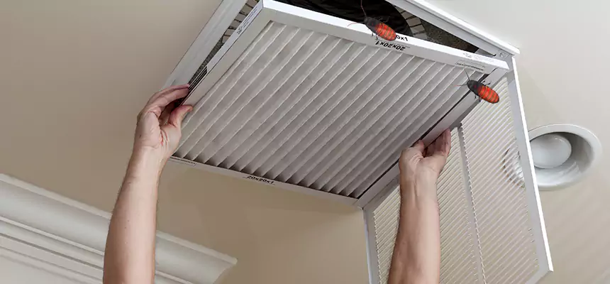 Our Insect Removal from Air Ducts Services in Brighton, NY