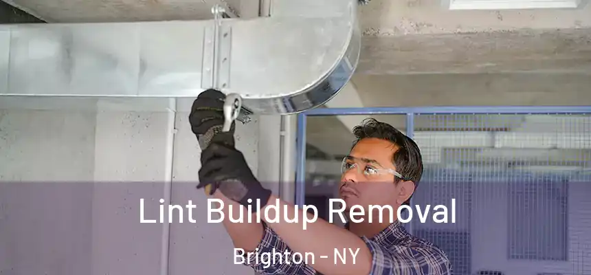  Lint Buildup Removal Brighton - NY