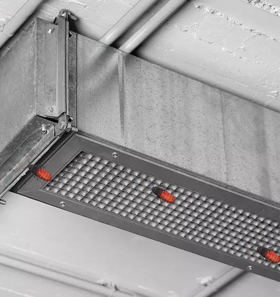 About Air Duct Cockroach Removal in Brighton, NY