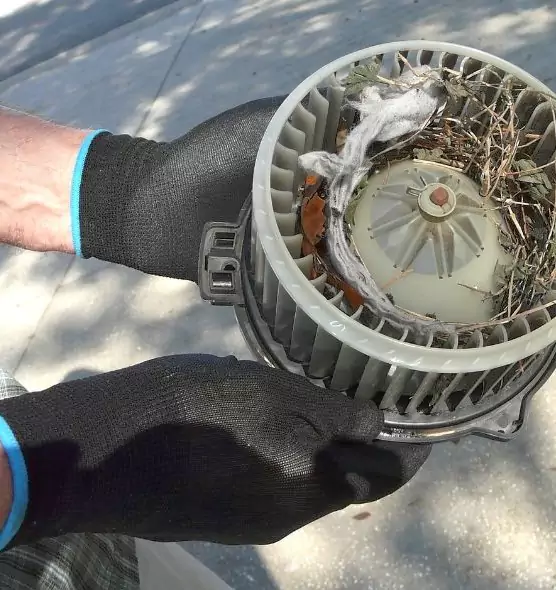 About Air Duct Mice Removal in Brighton, NY