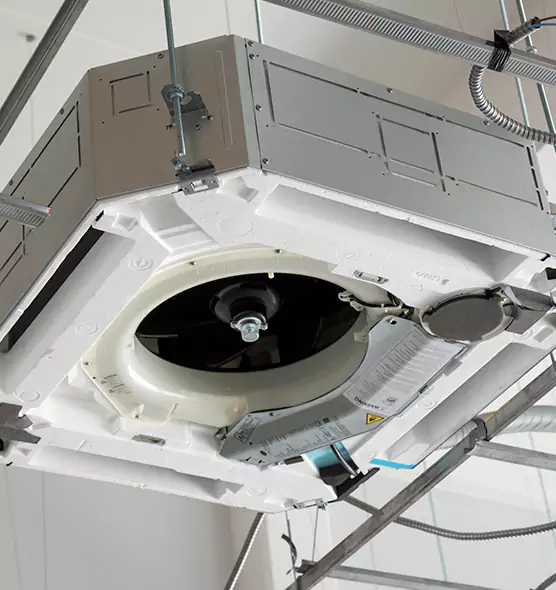 Professional Roof Vent Lint Removal Brighton, NY