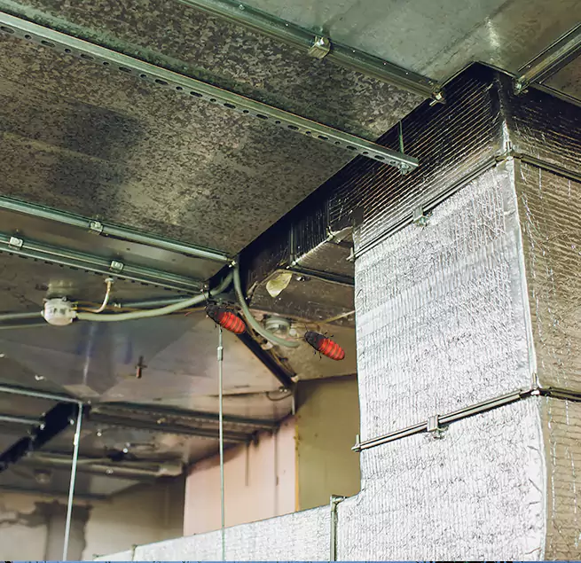 Why Homeowners & Businesses Trust Us in Brighton, NY?