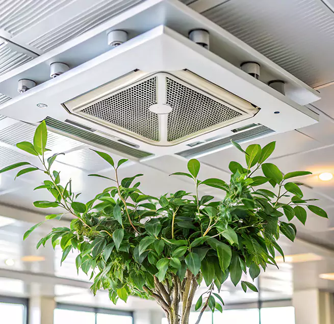 Why Homeowners & Businesses Trust Us in Brighton, NY?