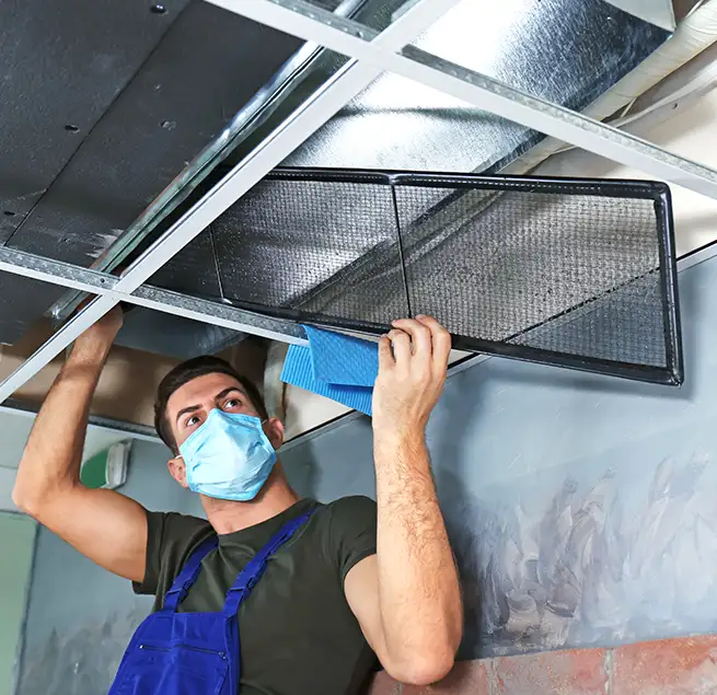 Why Homeowners & Businesses Trust Us in Brighton, NY?